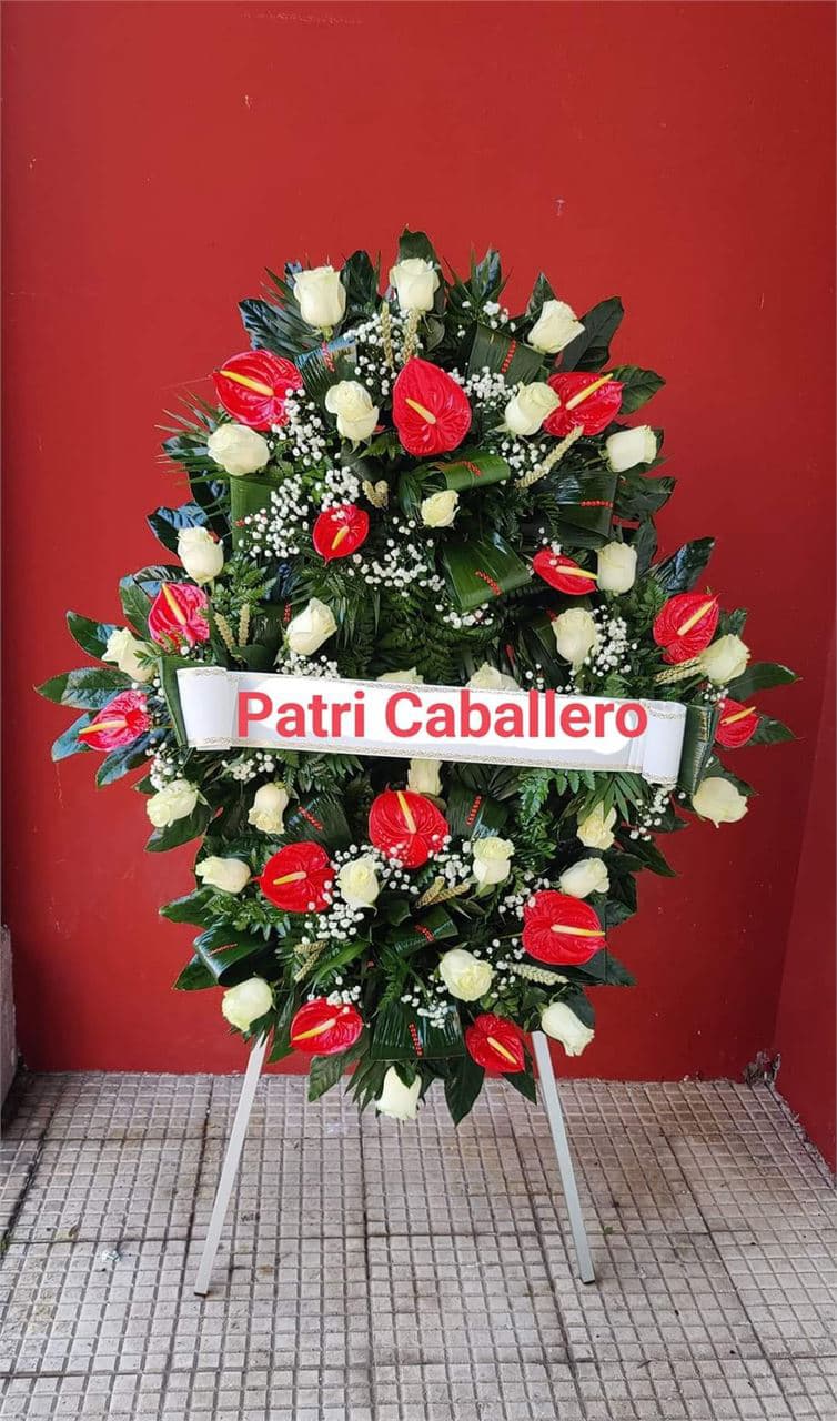 Floristería Patri Caballero en Tui