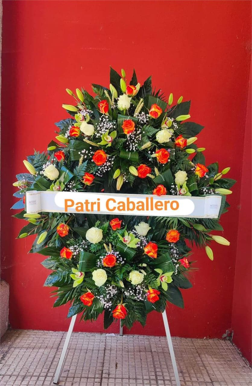 Floristería Patri Caballero en Tui